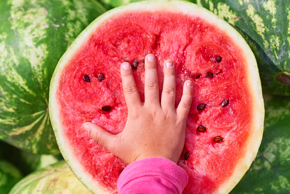 The watermelon is a symbol of Palestinian culture and resistance.